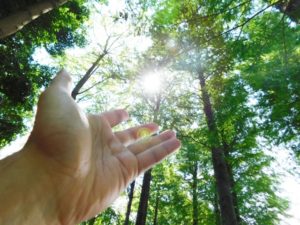 岡山市で癒しの気功整体体験｜心身の不調に寄り添うセルフケアの第一歩