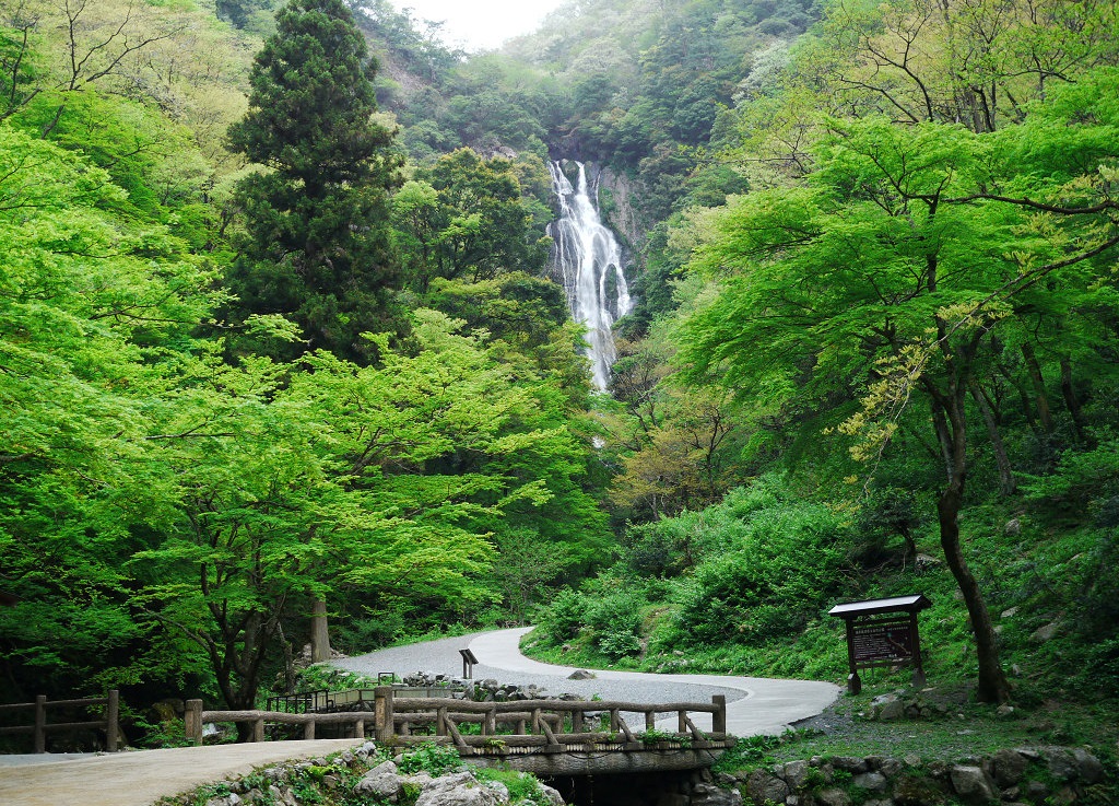 岡山市の人が滝のマイナスイオンを浴びながら気功をする